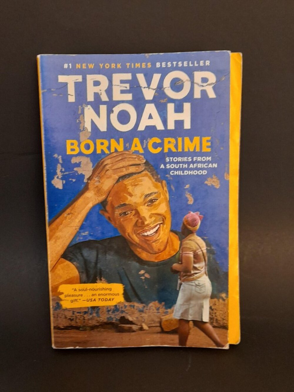 Born a Crime Book